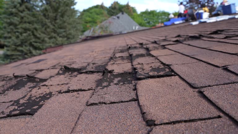 Asphalt Shingles Roofing in Woodland Park, CO